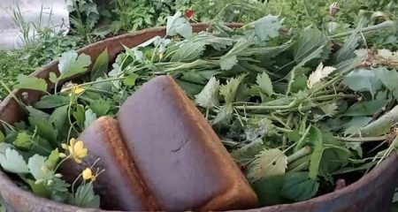 Pain d'orties pour les tomates