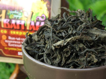 Té fermentado de Iván