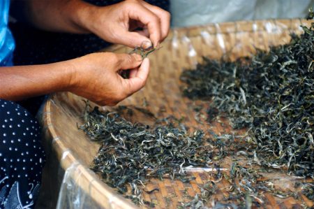 té secándose