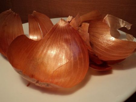 In Zwiebelschalen