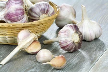 Knoblauch