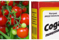 Bicarbonato di sodio per pomodori