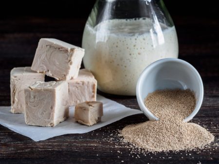 Alimentation en levure