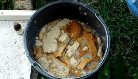 Crackers ammollati