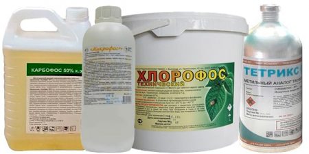 Χλωροφός