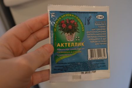 Ακτελλικός