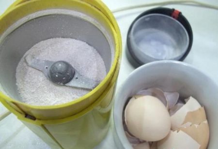 قشور البيض المطحونة