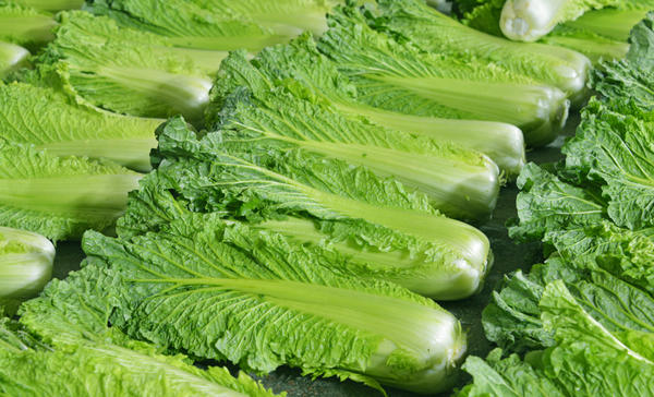 Chinakohl