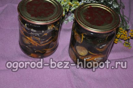 Entrée d'aubergines pour l'hiver