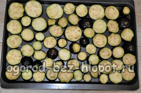 aubergines sur une plaque de cuisson