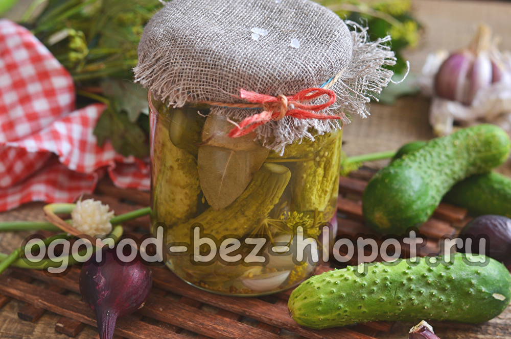 Eingelegte Gewürzgurken