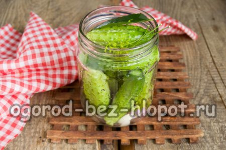 Gurken im Glas
