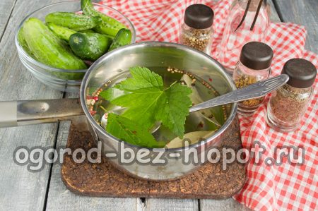Листа от касис