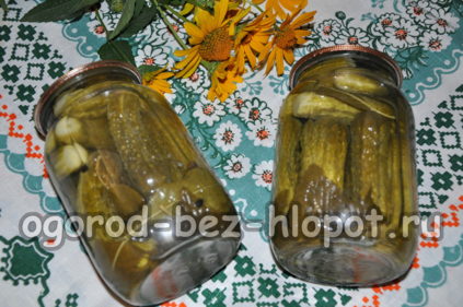 concombres marinés