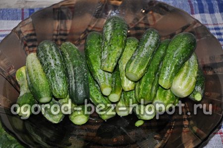 Lavons les concombres.