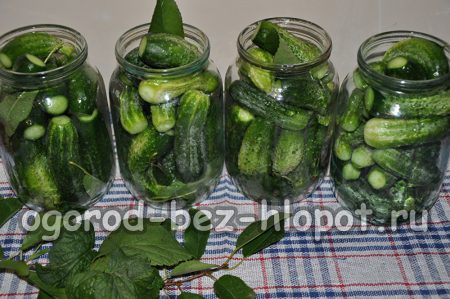Bocaux de concombres