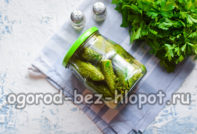 Έτοιμα αγγούρια