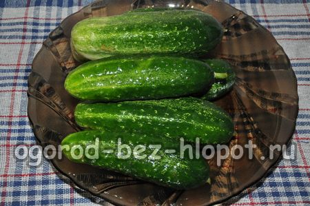 краставици за кисели краставички