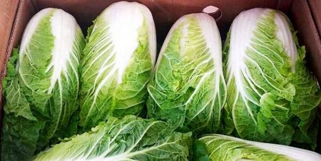 Kohl
