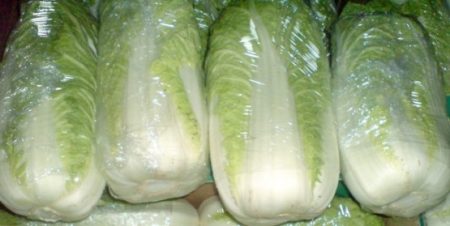 Chinakohl