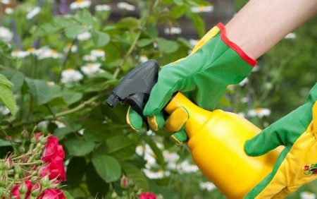 fertilisation foliaire
