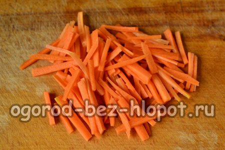 lamelles de carottes