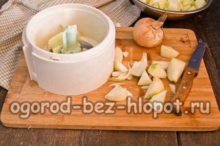 cipolle in un frullatore