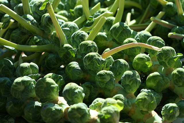 Rosenkohl