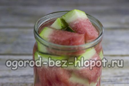 Wir füllen die Wassermelonen.