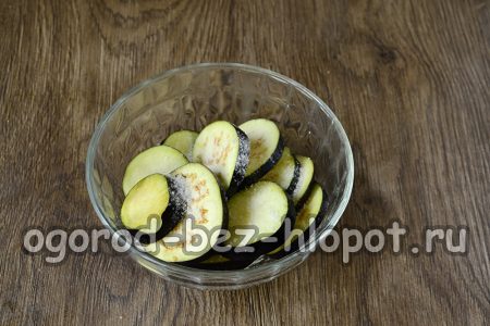 Die Auberginen mit Salz bestreuen