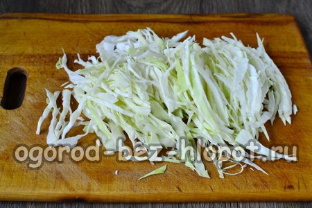 Den Kohl zerkleinern