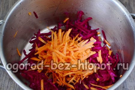 Karotten und Rote Beete schneiden