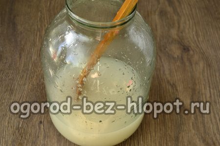 Wasser und Hefe