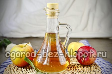 Apfelessig in einer Flasche