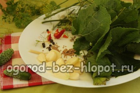 zubereitetes Grünzeug
