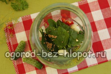 Gewürze und Kräuter im Glas