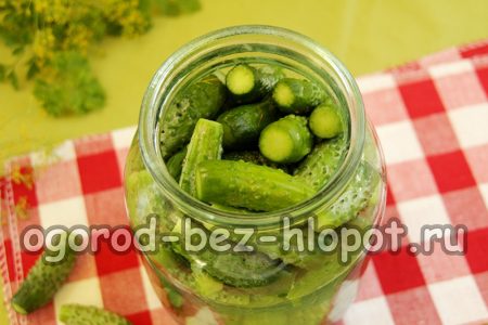 Gurken in ein Glas geben