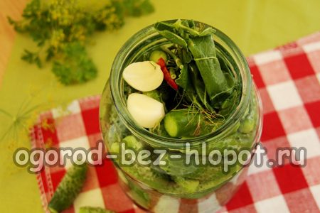 Meerrettichblätter und Dill dazugeben