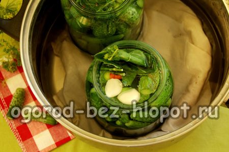 Sterilisieren Sie die Gläser.
