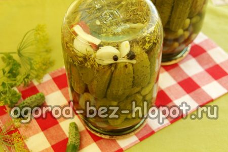 Überprüfung des festen Sitzes der Schrauben