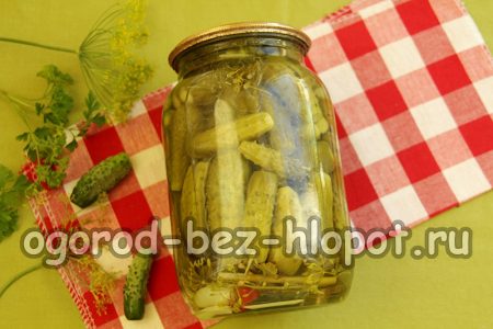 knackige Gurken für den Winter