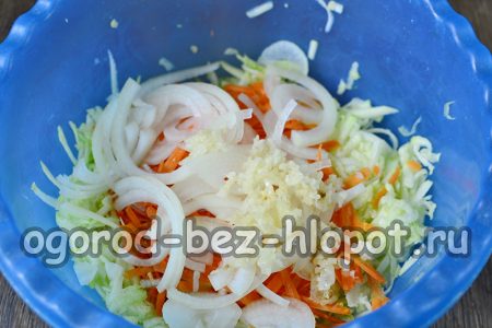 Zwiebeln und Knoblauch hinzufügen.