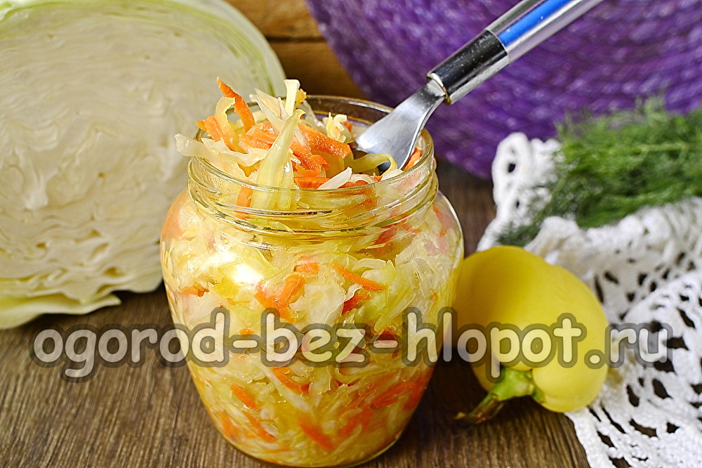 chou provençal