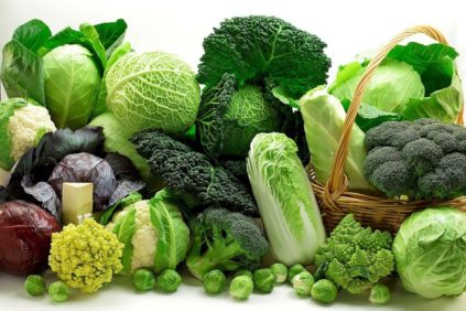 λάχανο_vidi