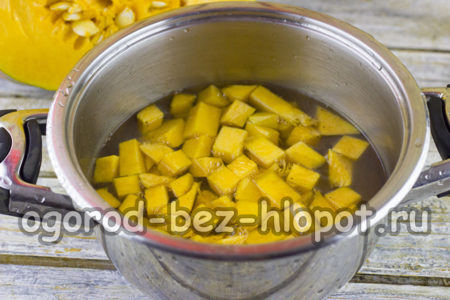 Den Kürbis mit Wasser füllen