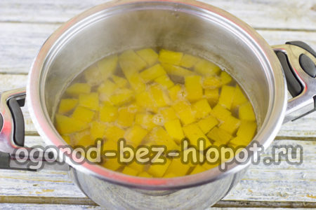 Kürbis kochen