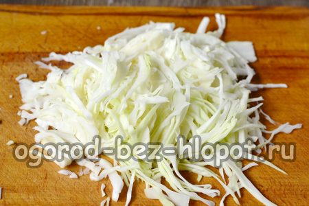 Den Kohl in mittlere Streifen schneiden und in eine separate Schüssel geben.
