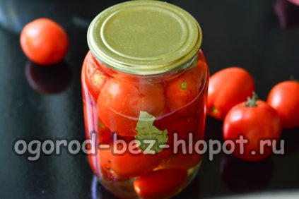 μαρινάδα για 1 λίτρο