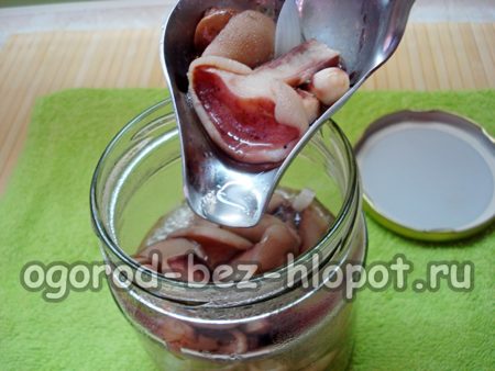 Butterpilze im Glas