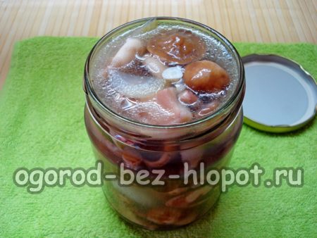 Einmachglas mit Pilzen